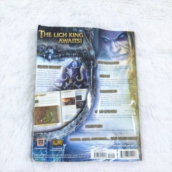 World of Warcraft Strategy Guide - Picture 5 of 5